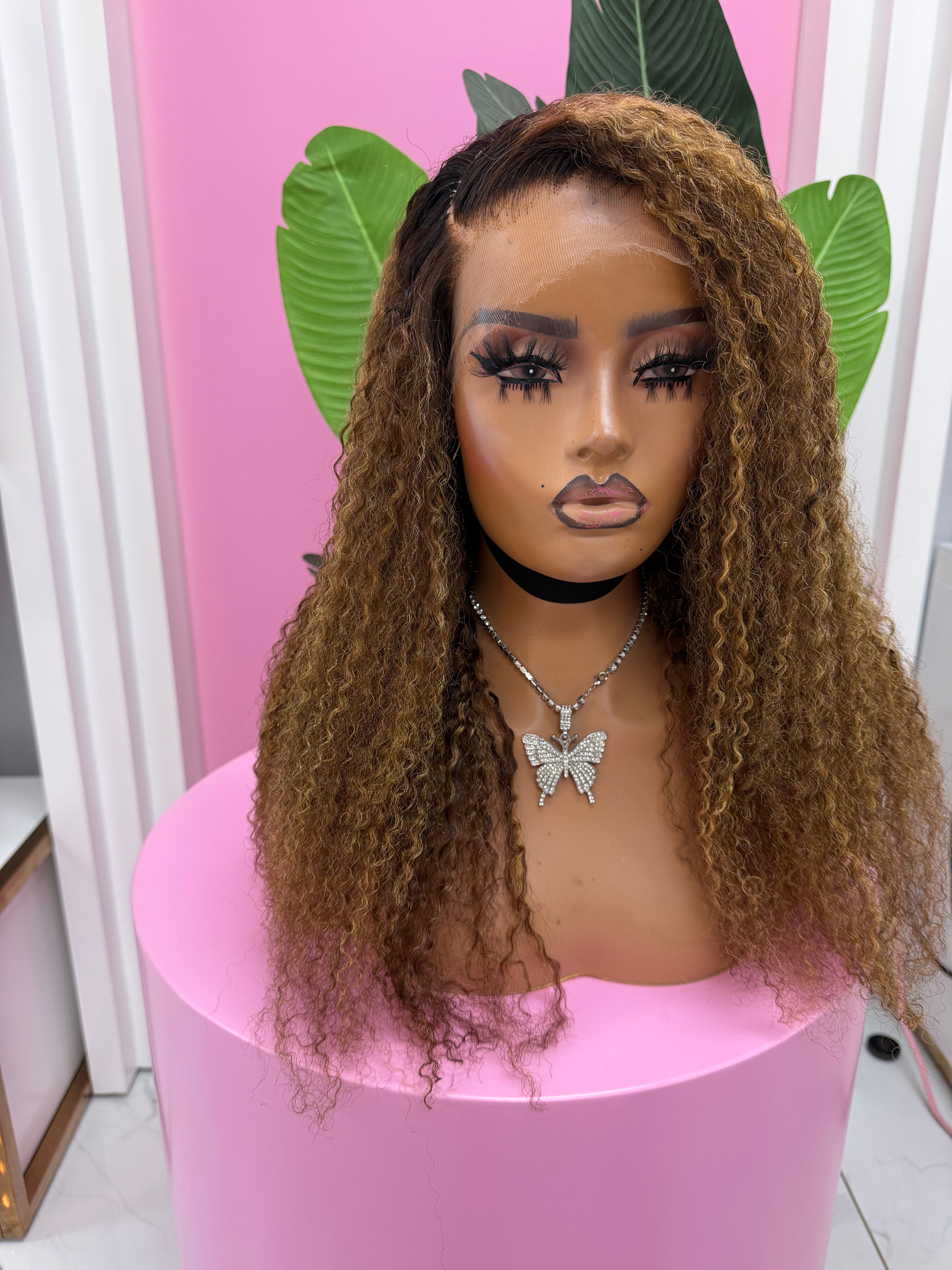 Highlighted Burmese Curl